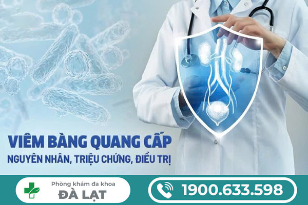 Hình ảnh minh họa